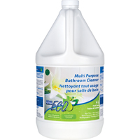 Bathroom Cleaners | RMP Maintenance